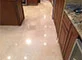 Limestone Floor Restoration